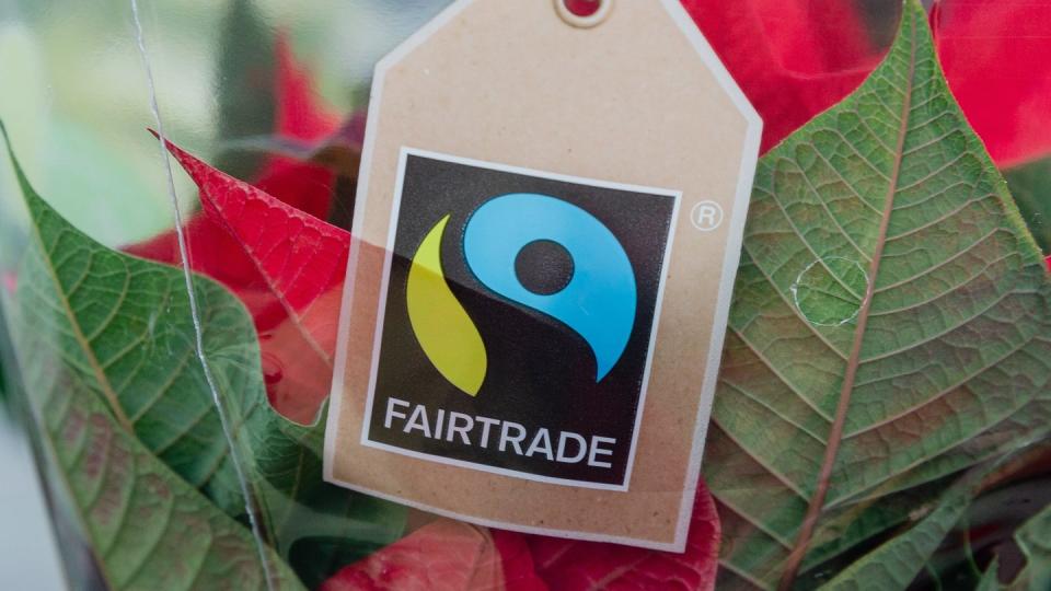 Verbraucher in Deutschland haben 2019 im Schnitt 25 Euro für Produkte mit «Fairtrade»-Siegel ausgegeben.