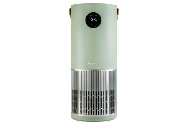shoppers say this air purifier can help ease congestion