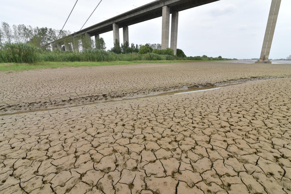 Under a towering viaduct, a small trickle of water cuts through a caked, cracked riverbed that runs for as far as the eye can see.