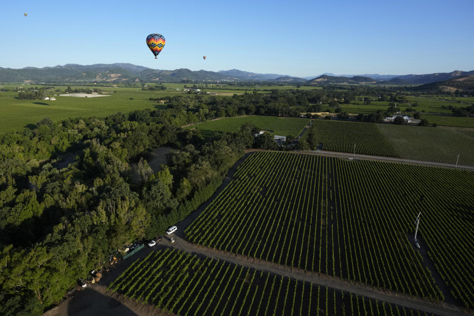 Napa Valley Aloft balloons, make their way toward a landing spot by a vineyard in Napa, Calif., Monday, June 19, 2023. This year, wine grapes are thriving after a winter of record amounts of rain fell in California, but a recent trip high above the valley in a hot air balloon revealed miles of lush, green vineyards — the only blemish coming from shadows cast by the balloons themselves. (AP Photo/Eric Risberg)