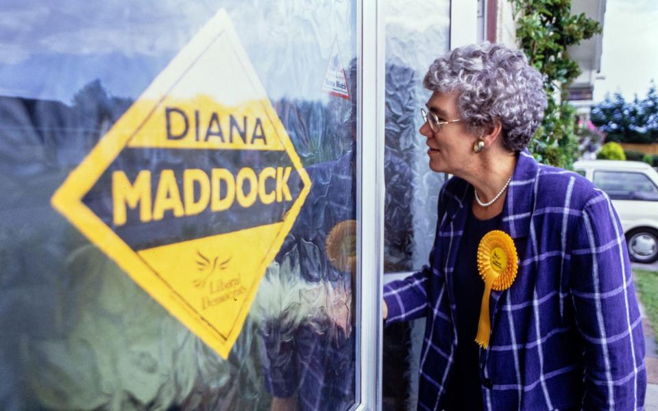 Diana Maddock, the Liberal Democrat Party candidate, canvassing ahead of the Christchurch by-election - Alamy