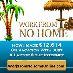 work from no home online guide to internet success