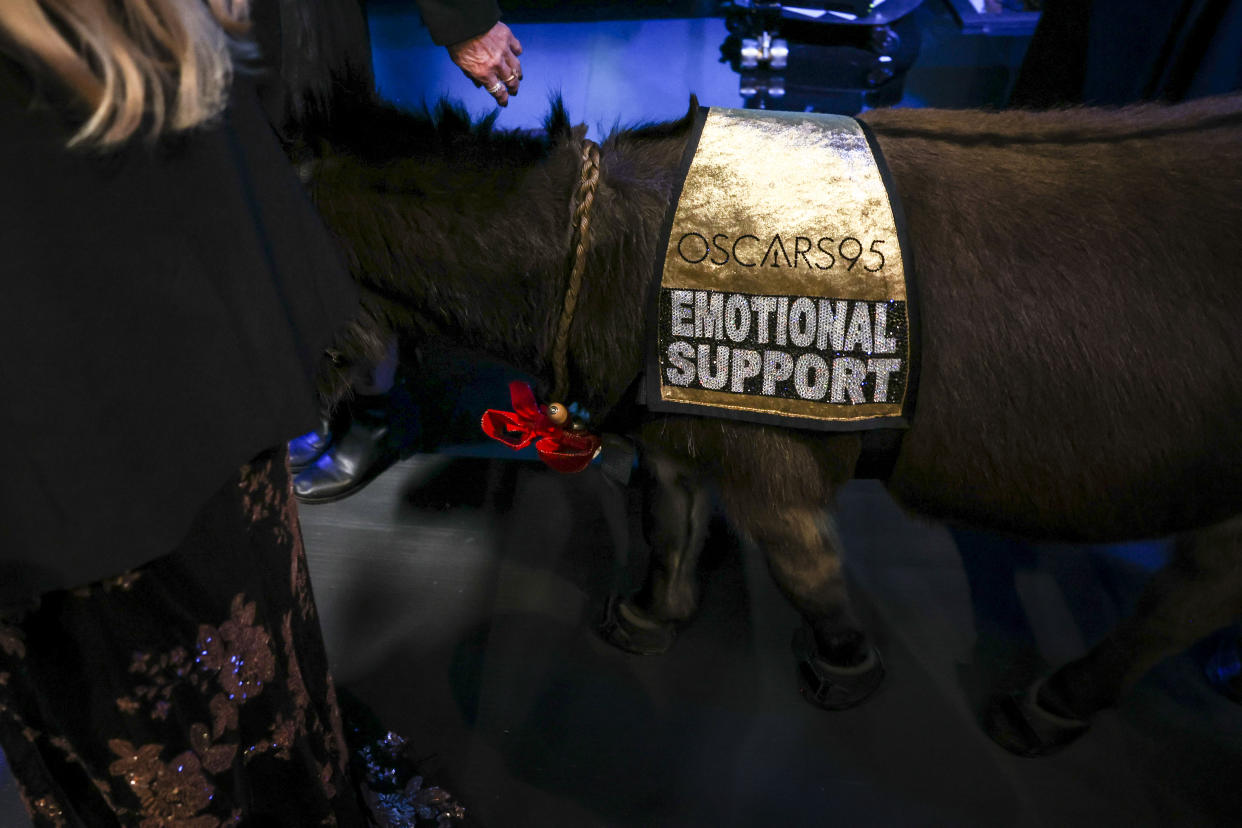 HOLLYWOOD, CA - MARCH 12: Jenny the emotional support donkey, backstage at the 95th Academy Awards at the Dolby Theatre on March 12, 2023 in Hollywood, California. (Robert Gauthier / Los Angeles Times via Getty Images)