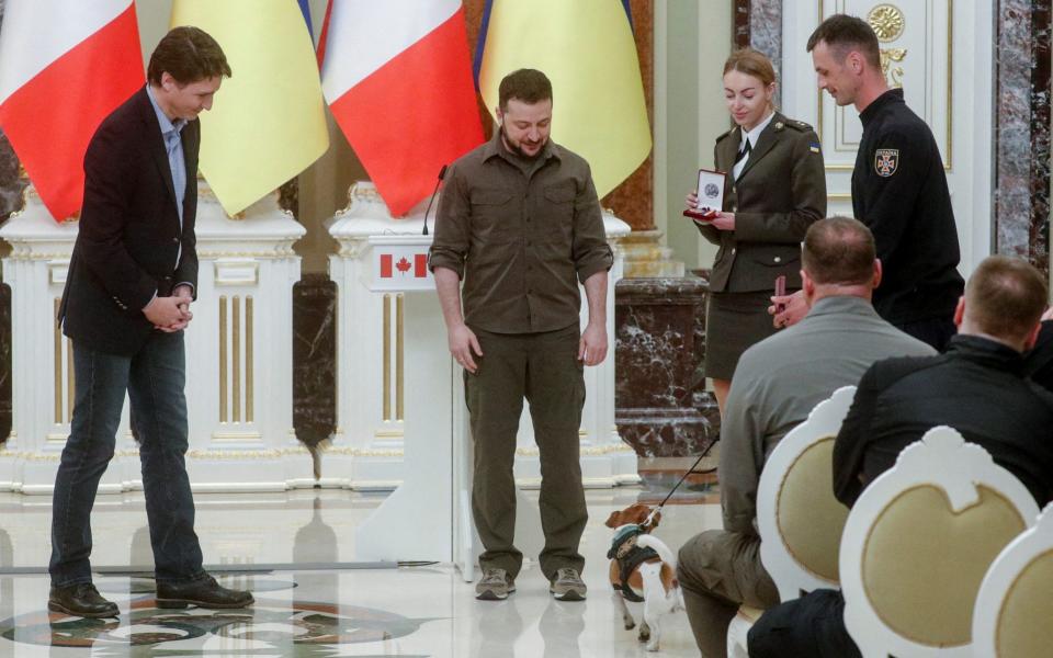 Patron was presented with his medal by Volodymyr Zelensky and Justin Trudeau - REUTERS