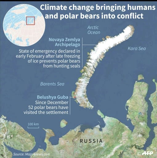 In the Novaya Zemlya archipelago, climate change and new infrastructure projects are bringing humans and polar bears into conflict