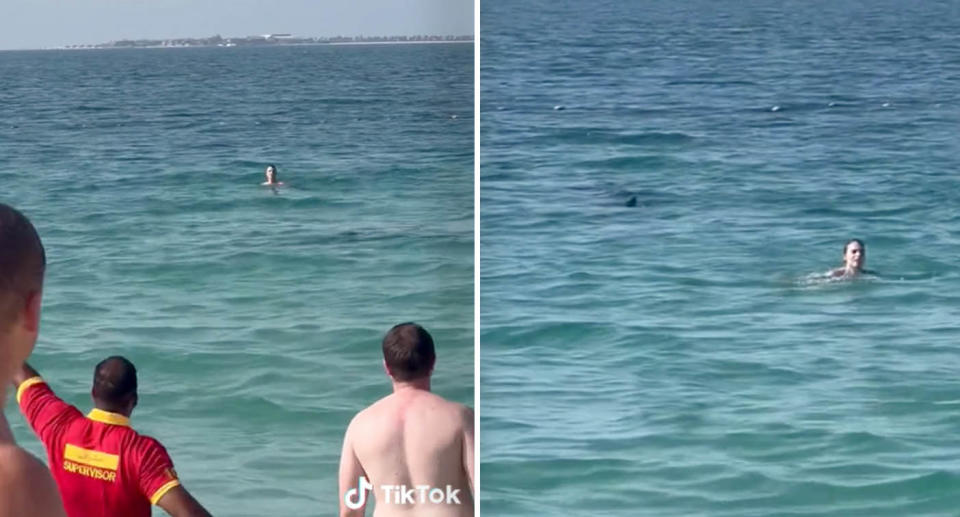 A photo of a life guard beckoning a woman out of the water where a shark is. Another photo showing the close proximity between a shark and swimmer.