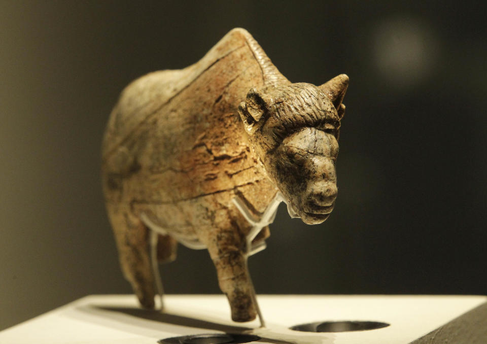 A sculpture of an adult female bison worked from a large piece of mammoth tusk dates at least 21,000 years old, discovered at Zaraysk, Osetr Valley, Russia, is seen on display in an exhibition 'Ice Age Art : arrival of the modern mind' at the British Museum in London, Tuesday, Feb. 5, 2013. The exhibition present masterpieces create from the last Ice Age between 40,000 and 10,000 years ago, drawn from across Europe, by artists with modern minds and presented alongside modern works to illustrate the fundamental human desire to communicate and make art as a way of understanding ourselves and our place in the world. (AP Photo/Sang Tan)