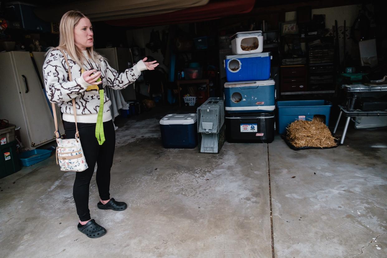 The garage at Lindsay Bailey's home in New Philadelphia has stacks of coolers converted into shelters for cats.