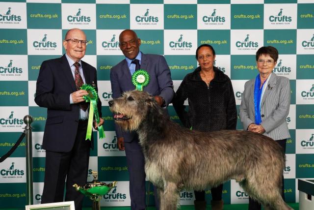 what dogs are in the utility group at crufts