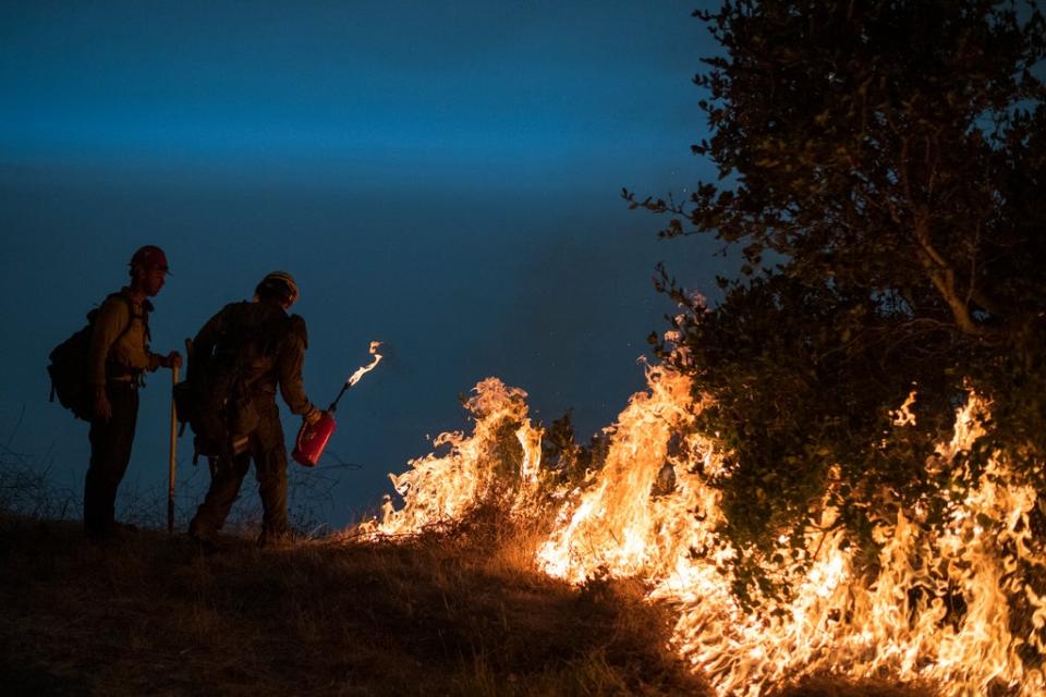 Firefighters light a controlled burn to help contain the Dolan Fire near Big Sur, California (Copyright 2020 The Associated Press. All rights reserved)