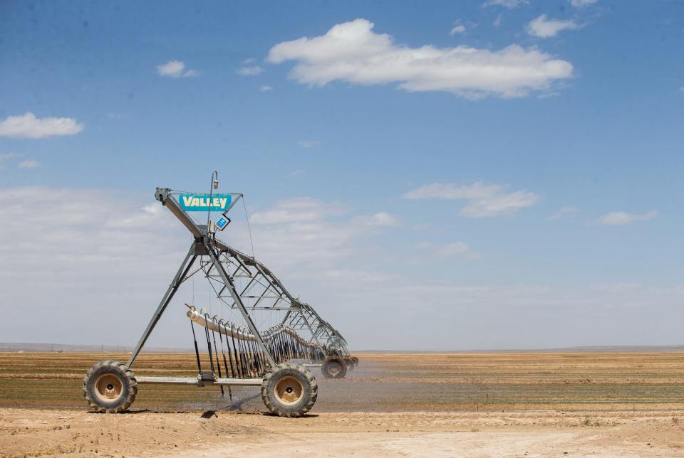 An agricultural field in Dell City is irrigated in March of 2022.