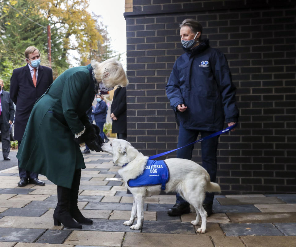 WINDSOR, ENGLAND - DECEMBER 09: Camilla, Duchess of Cornwall meets residents and staff as she visits the Battersea Dogs and Cats Home to open the new kennels and thank the centre's staff and supporters on December 9, 2020 in Windsor, United Kingdom. (Photo by Steve Parsons - WPA Pool/Getty Images)