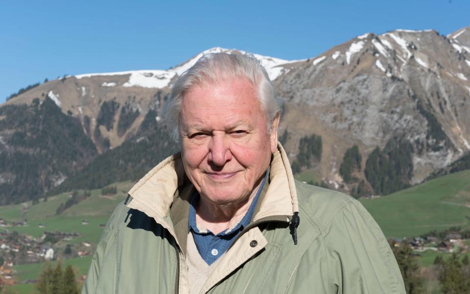 Sir David Attenborough - Credit: Ruth Peacey