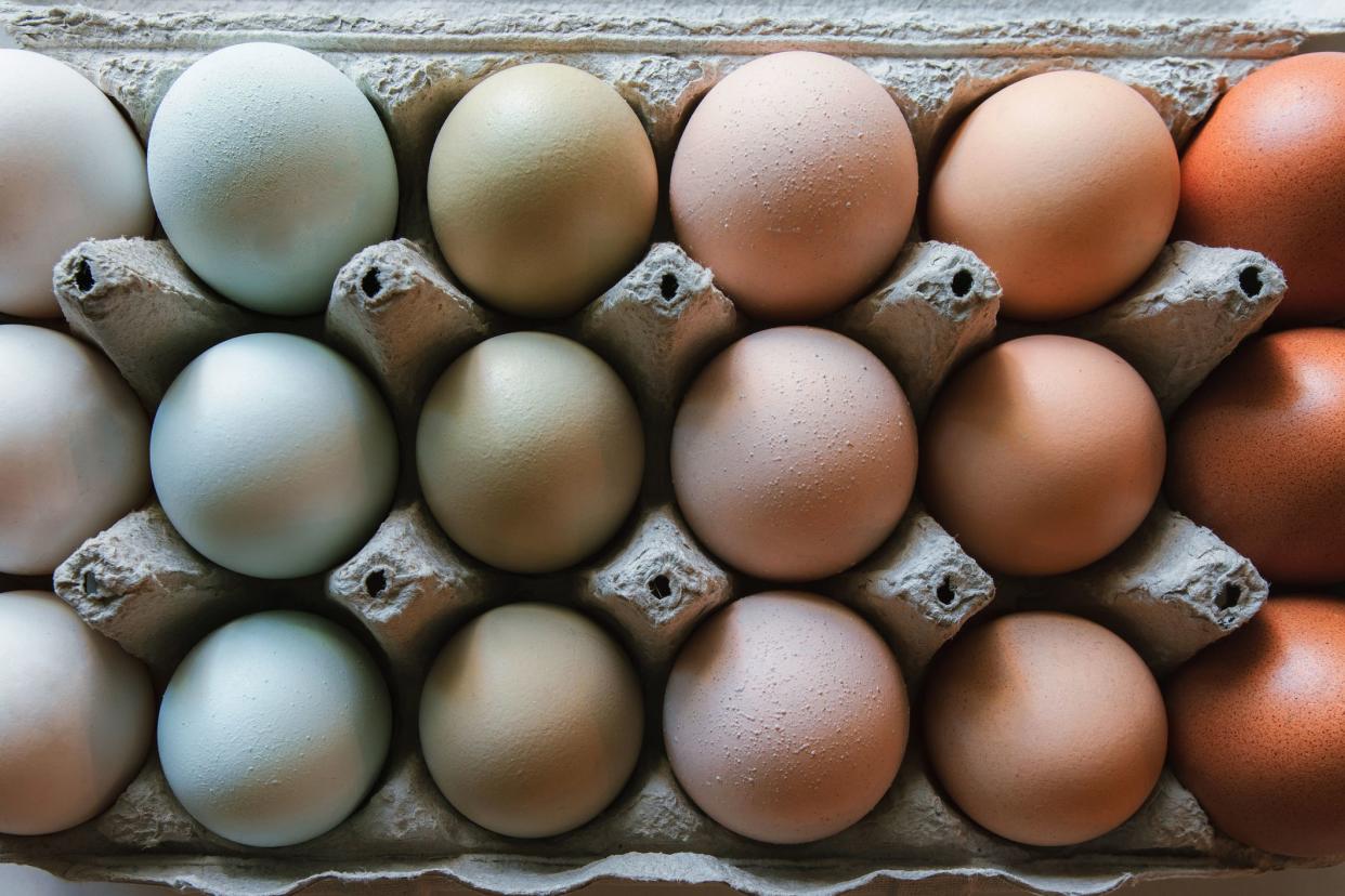 Beautiful and colorful eggs from different chicken species are organized in a carton by color, forming a lovely soft color palette.