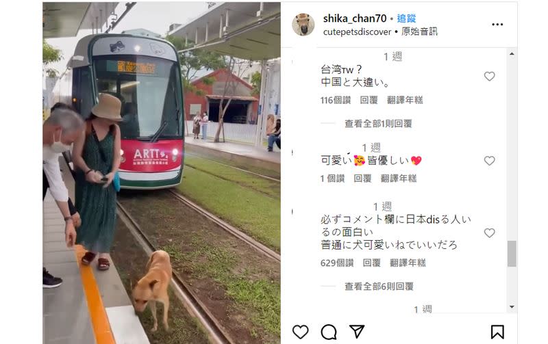 日本網友分享浪犬闖台灣輕軌影片。（圖／翻攝自Instagram@shika_chan70）