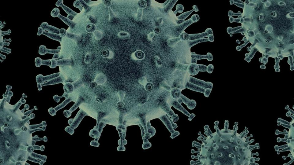最近包括新冠疫情、流感、腸病毒等等病毒都是高峰期。（示意圖／翻攝自pixabay）