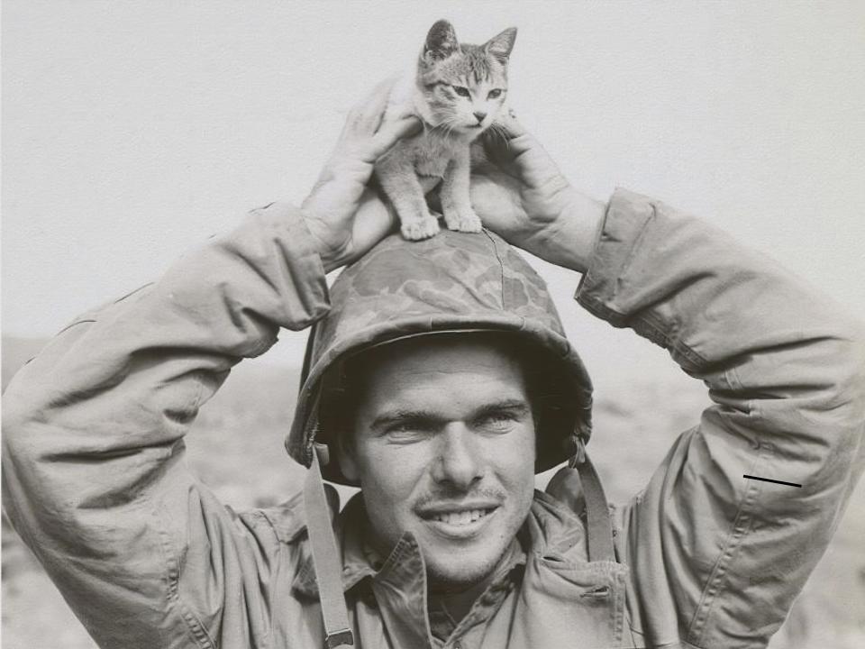 A black and white image of Cpl. Edward Burckhardt wearing combat gear and posing with a small kitten balanced on his helmet.