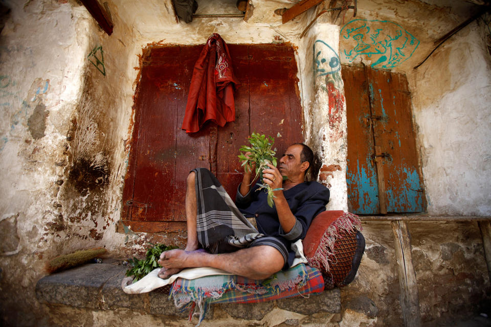 A man chews qat in the old quarter of Sanaa