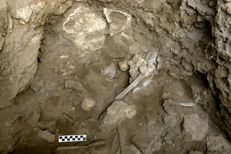 Bones of a mysterious woman in a burial site were surrounded by tortoise shells and other objects.