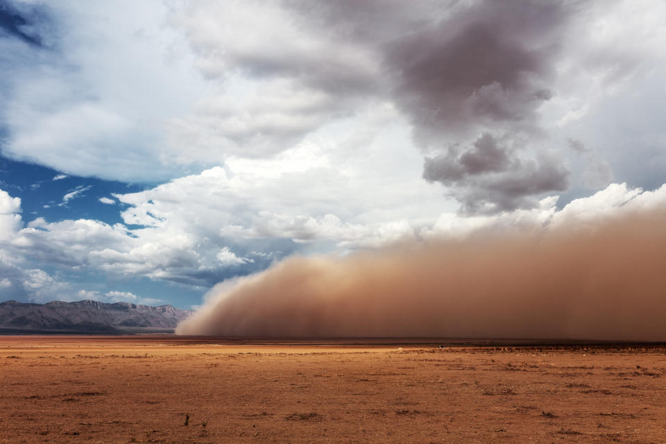 Dust storms in places such as Arizona can stir up the fungus that causes Valley fever and get it into the air. (Photo via Getty Images)