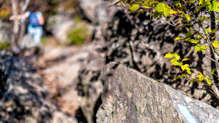 billy goat trail