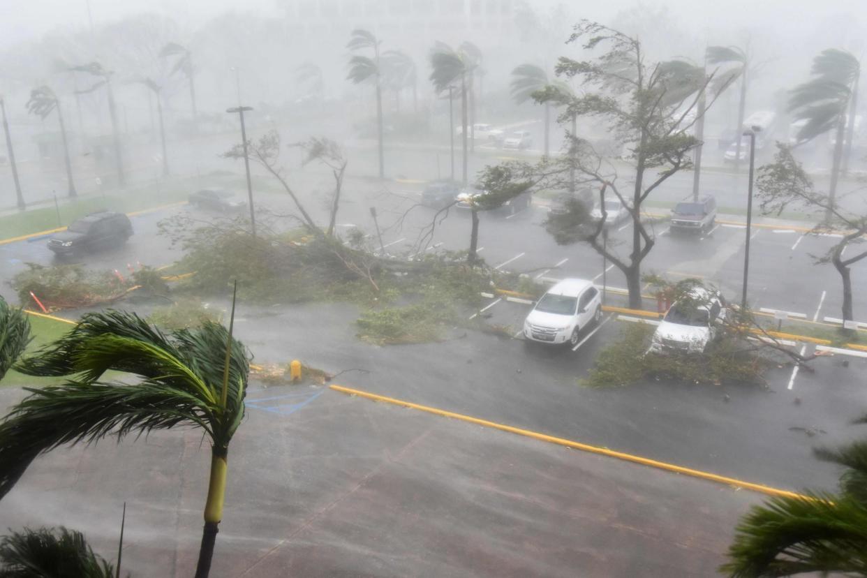 Trees are ripped out in a car park in San Juan, Puerto Rico: AFP/Getty Images