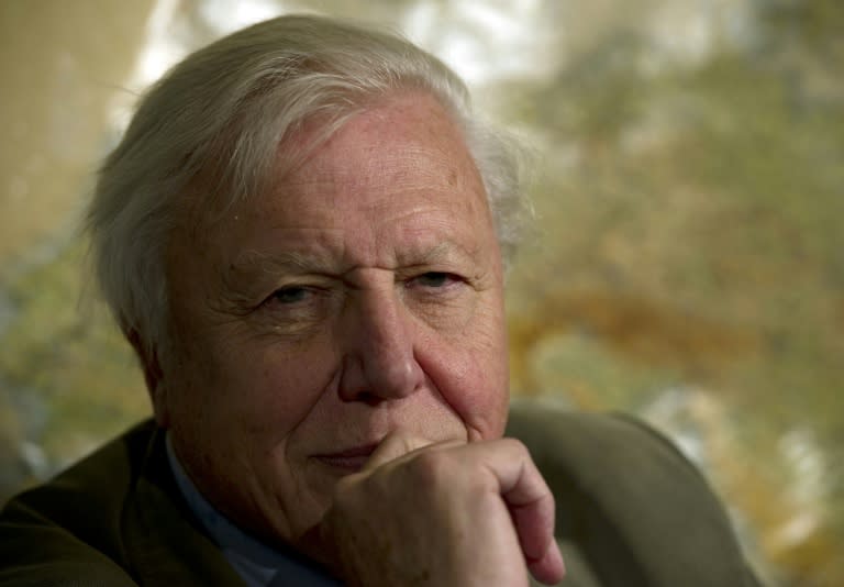 Knighted in 1985, David Attenborough has travelled the globe for more than six decades reporting on the wonders of the natural world