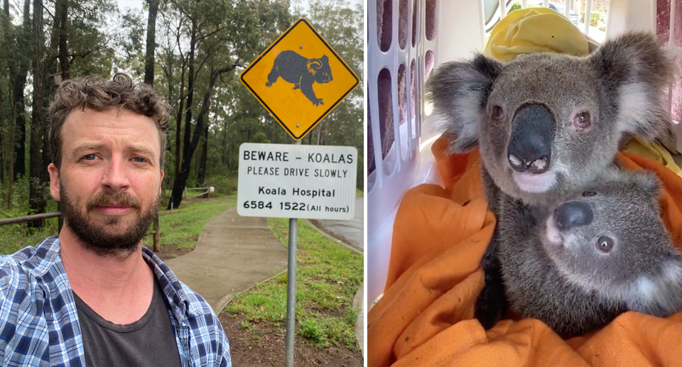 Rescuer Kai Wild (left) says koalas are facing increased risk from development. Source: Supplied