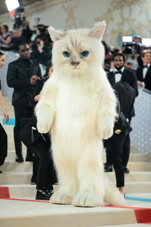 Karl Lagerfeld Would Marry His Cat Choupette If It Were Legal