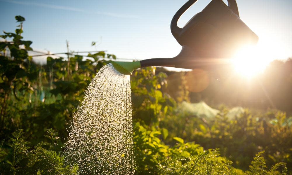 You can save water by using a watering can in the garden rather than using a hosepipe.