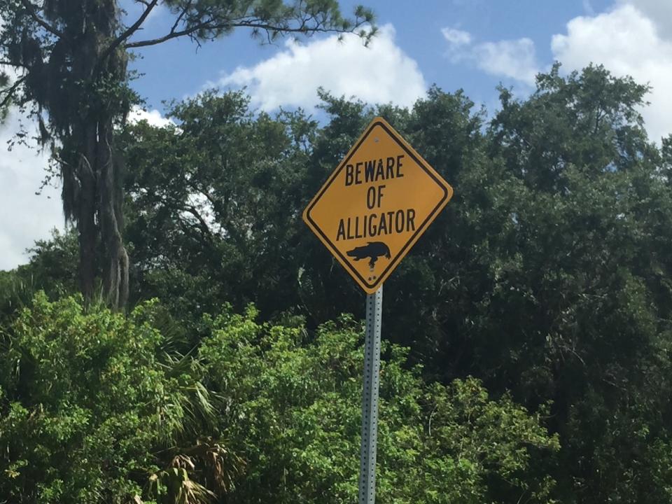 A "beware of alligator" sign