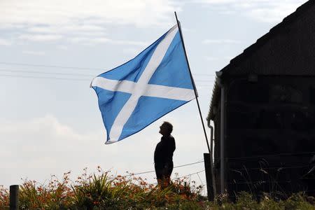 A Scottish Saltire flies in the garden of a cottage on the Isle of Lewis in the Outer Hebrides September 11, 2014. REUTERS/Cathal McNaughton