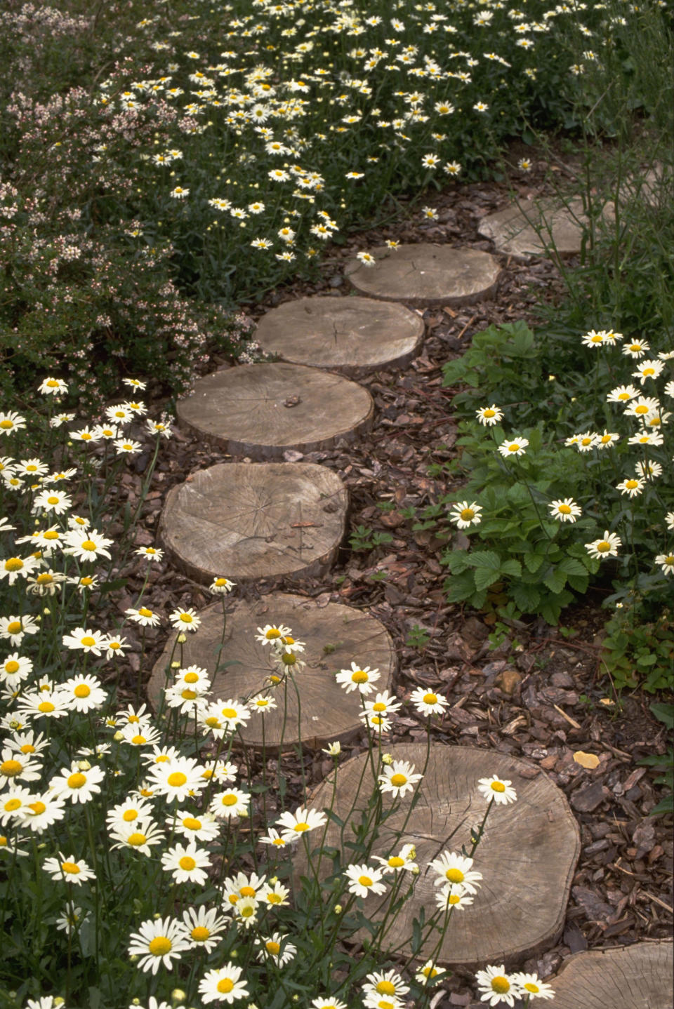 29. GO RUSTIC AND REUSE GARDEN WASTE