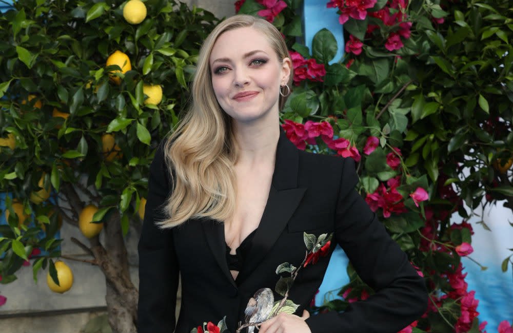 'Any Dream Will Do!' is to return to screens and Mamma Mia's Amanda Seyfried could be involved credit:Bang Showbiz