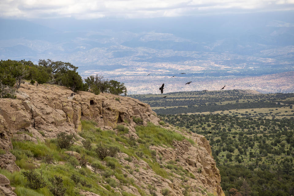 Birds fly near the Puye Cliff Dwellings in northern New Mexico, Monday, Aug. 22, 2022. The cliff dwellings were home to the ancestors of today's Santa Clara Pueblo people until drought forced them to move to the Rio Grande Valley about 500 years ago. (AP Photo/Andres Leighton)