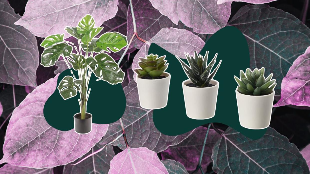  Four fake plants on pink leafy background, three faux succulents in white pots and a tall monstera in black pot. 