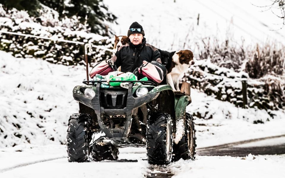 A shepherd and his collie dogs on their rounds in the Kale Valley in the Cheviot Hills of the Scottish Borders on Boxing Day - www.alamy.com