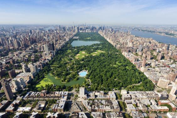 Central Park: the lungs of New York City (iStock)