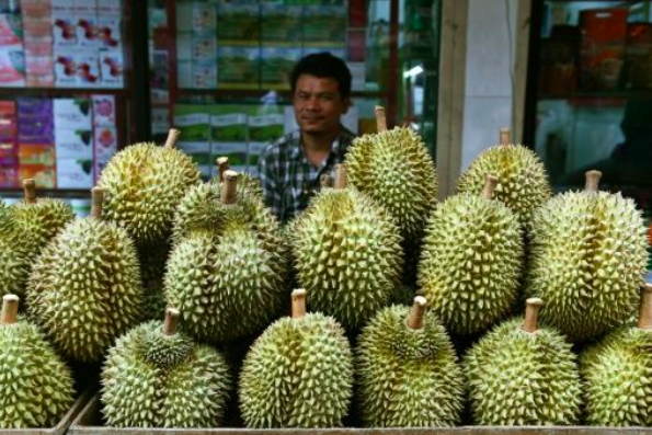 Durian is a highly divisive fruit, with detractors describing it as smelling of damp gym socks. Source: AFP