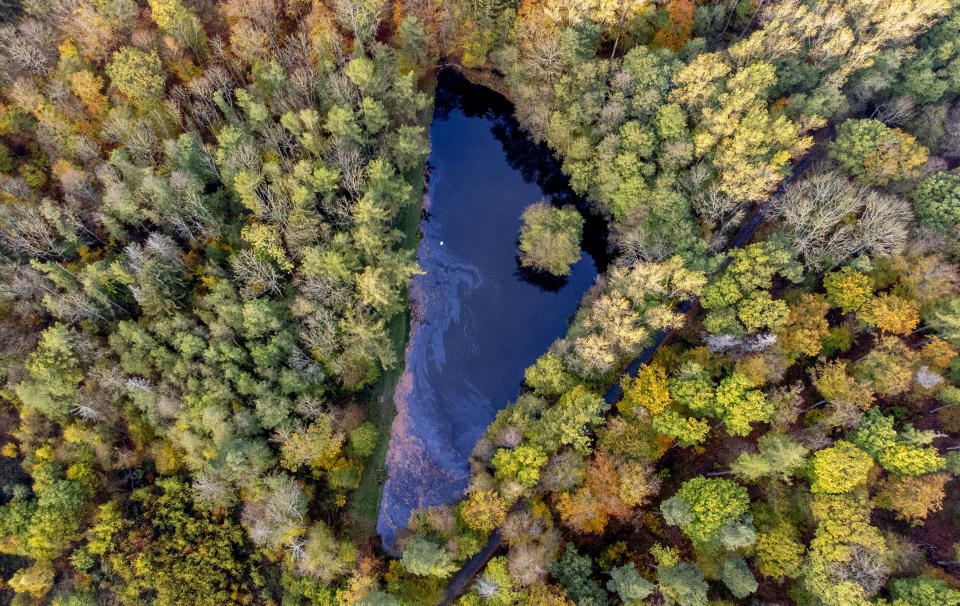 Colored trees surround a small lake in Usingen near Frankfurt, Germany, Thursday, Nov. 3, 2022. (AP Photo/Michael Probst)