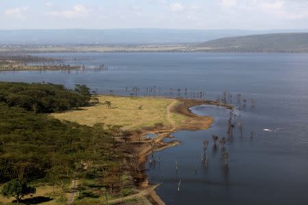 A view of the national park at Lake Nakuru, Kenya, August 18, 2015. The Park is home to some of the world's most majestic wildlife including lions, rhinos, zebras and flamingos. REUTERS/Joe Penney