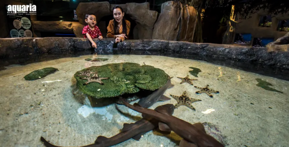 水族馆 KLCC。  （照片：客路客路）