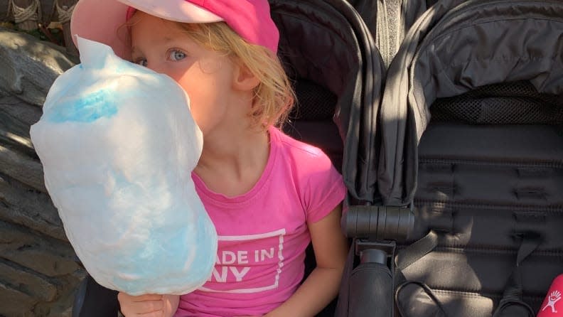 Don't let cotton candy be the only thing your kids eat all day--pack some healthy snack options.