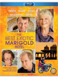The Best Exotic Marigold Hotel Box Art