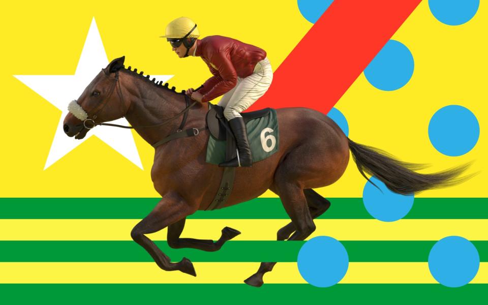 Virtual Grand National sweepstake kit, plus your guide to the runners and riders 