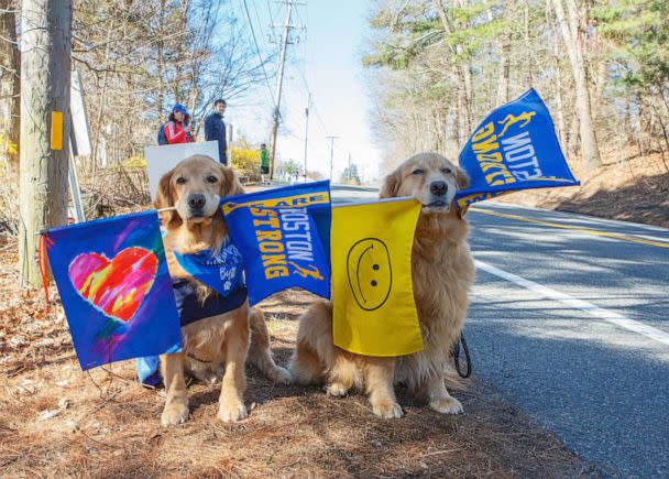 PHOTO: Both of Powers' dogs, Spencer and Penny, cheered runners at the Boston Marathon over the years. (The Henry Studio)
