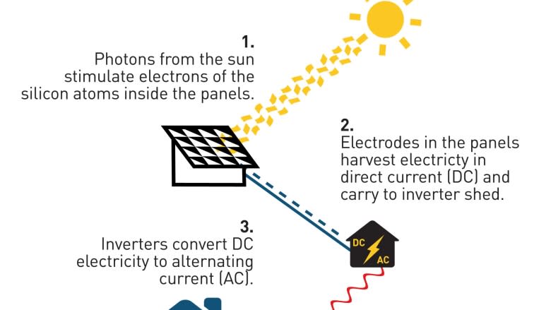 Want to soak up the savings from solar? Here's what you should know