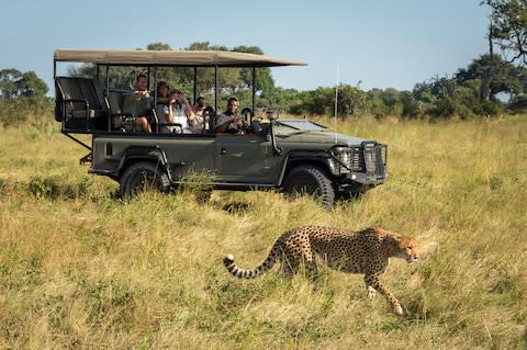 Cheetah spotting at Botswana's Vumbura Plains camp - Credit: (c) Dana Allen www.PhotoSafari-Africa.net