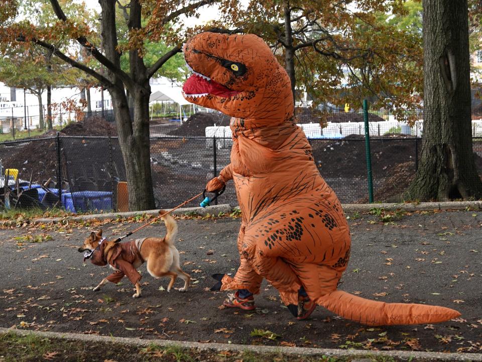 dog owner halloween parade