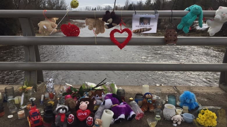 Search for 3-year-old boy swept away by Grand River flood continues